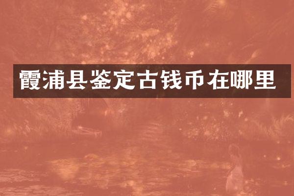 霞浦县鉴定古钱币在哪里
