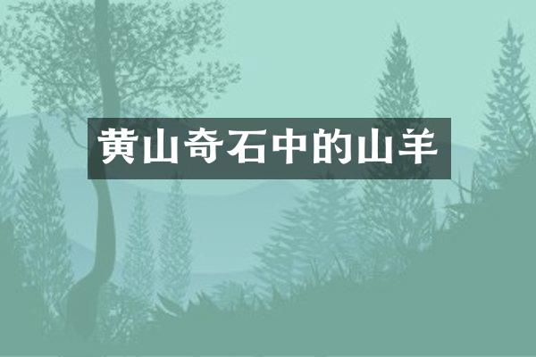 黄山奇石中的山羊