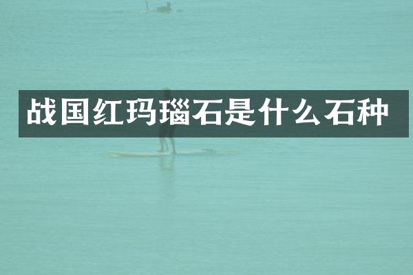 战国红玛瑙石是什么石种