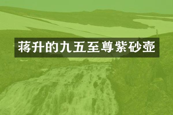 蒋升的九五至尊紫砂壶