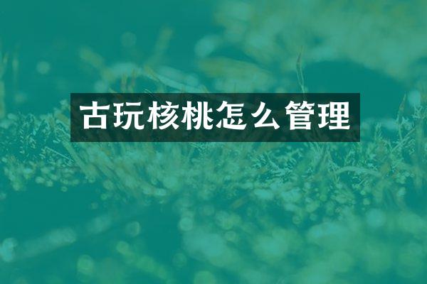 古玩核桃怎么管理