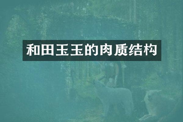 和田玉玉的肉质结构