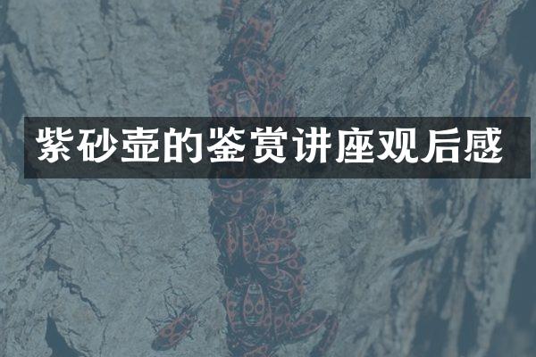 紫砂壶的鉴赏讲座观后感