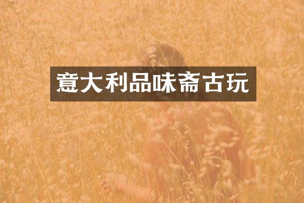 意大利品味斋古玩