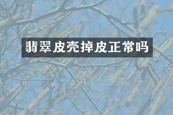 翡翠皮壳掉皮正常吗