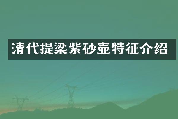 清代提梁紫砂壶特征介绍