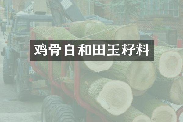鸡骨白和田玉籽料