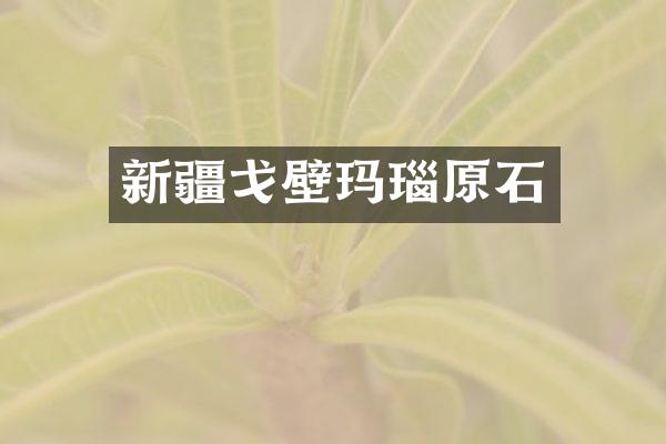 新疆戈壁玛瑙原石