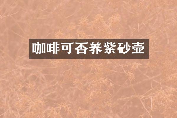 咖啡可否养紫砂壶