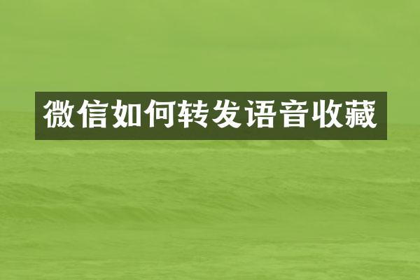 微信如何转发语音收藏