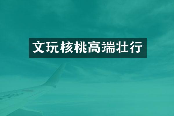 文玩核桃高端壮行