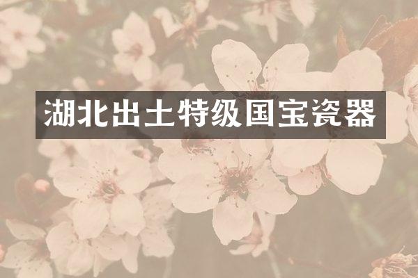 湖北出土特级国宝瓷器
