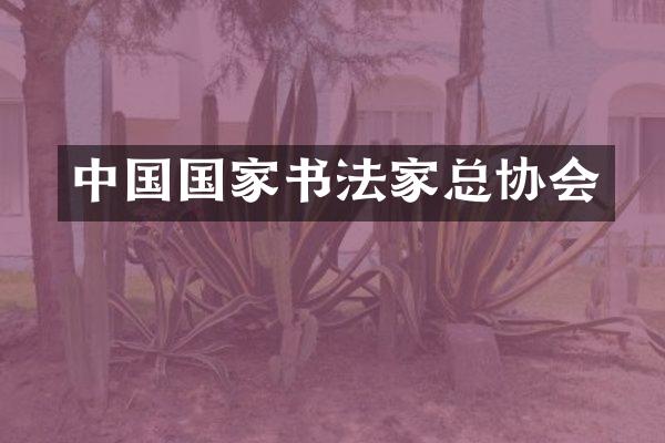 中国国家书法家总协会