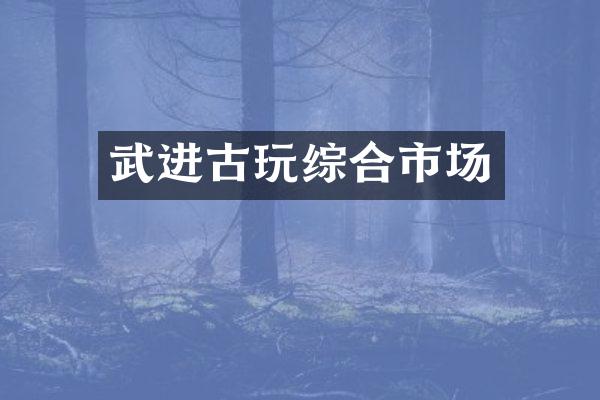 武进古玩综合市场