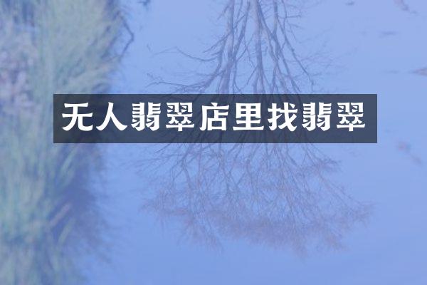 无人翡翠店里找翡翠