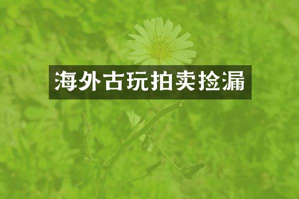 海外古玩拍卖捡漏