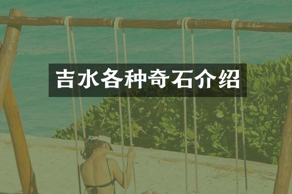 吉水各种奇石介绍