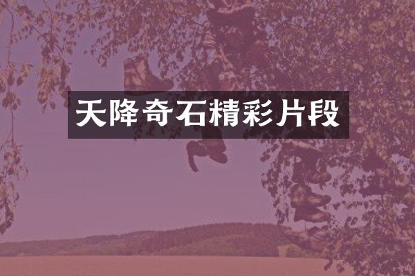 天降奇石精彩片段