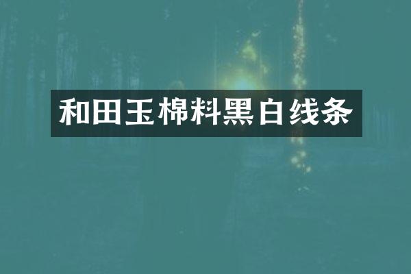 和田玉棉料黑白线条
