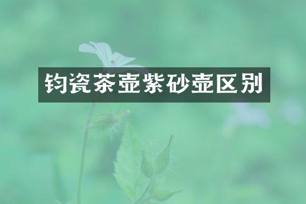 钧瓷茶壶紫砂壶区别