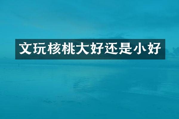 文玩核桃大好还是小好