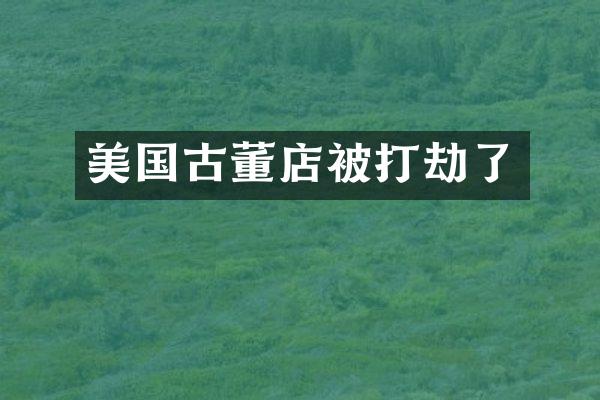 美国古董店被打劫了