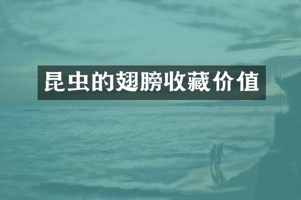 昆虫的翅膀收藏价值