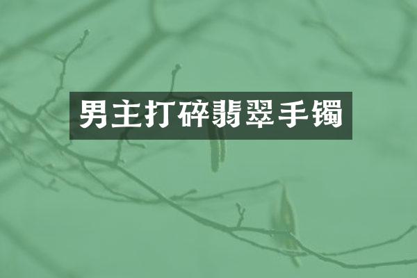 男主打碎翡翠手镯