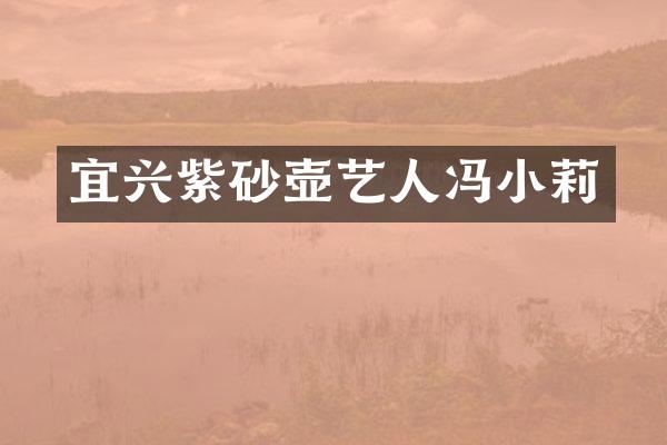 宜兴紫砂壶艺人冯小莉