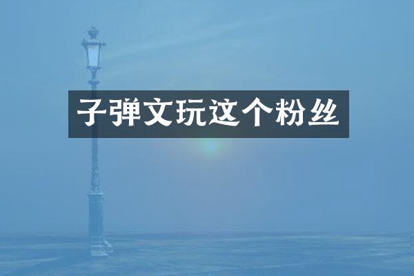 文玩这个粉丝