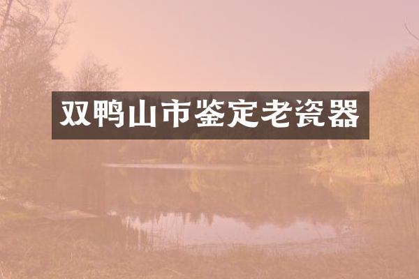 双鸭山市鉴定老瓷器