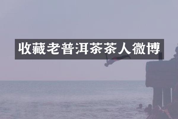 收藏老普洱茶茶人微博