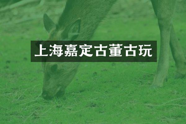 上海嘉定古董古玩