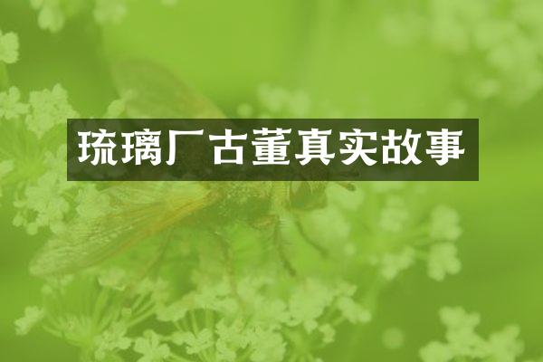 琉璃厂古董真实故事