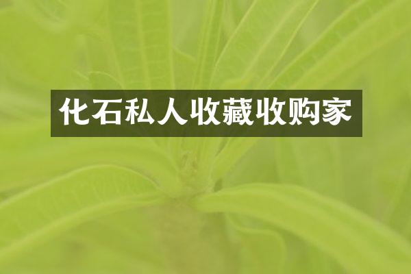 化石私人收藏收购家