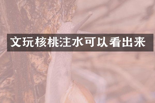 文玩核桃注水可以看出来