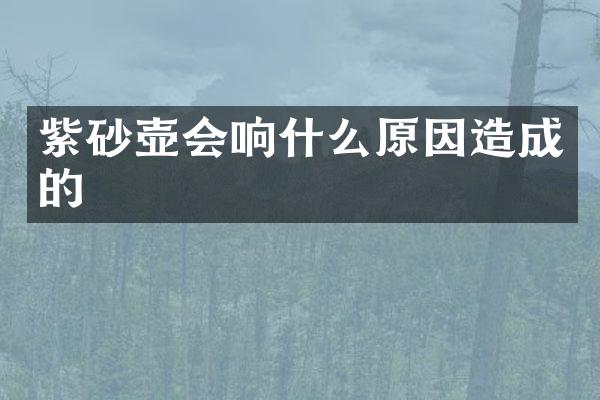 紫砂壶会响什么原因造成的