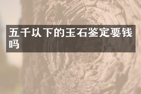 五千以下的玉石鉴定要钱吗