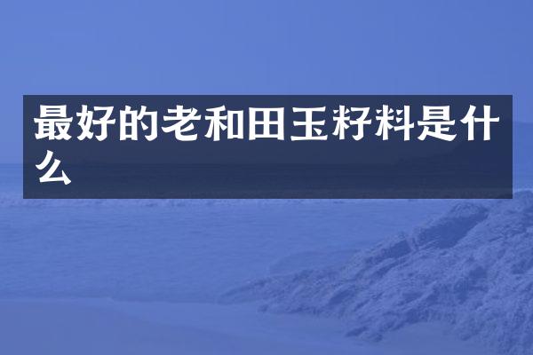 最好的老和田玉籽料是什么