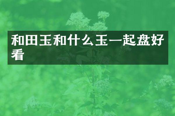 和田玉和什么玉一起盘好看
