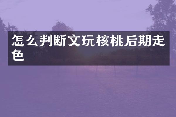 怎么判断文玩核桃后期走色
