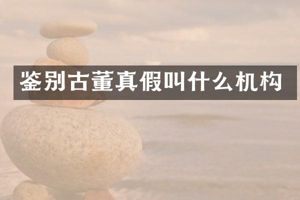 鉴别古董真假叫什么机构