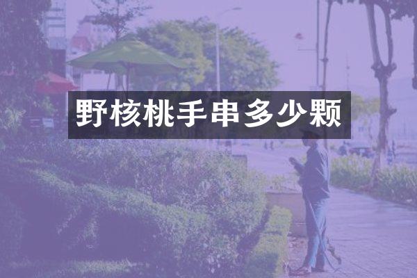 野核桃手串多少颗