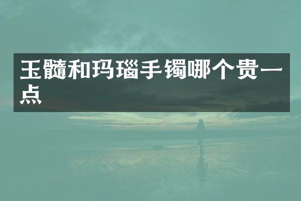 玉髓和玛瑙手镯哪个贵一点