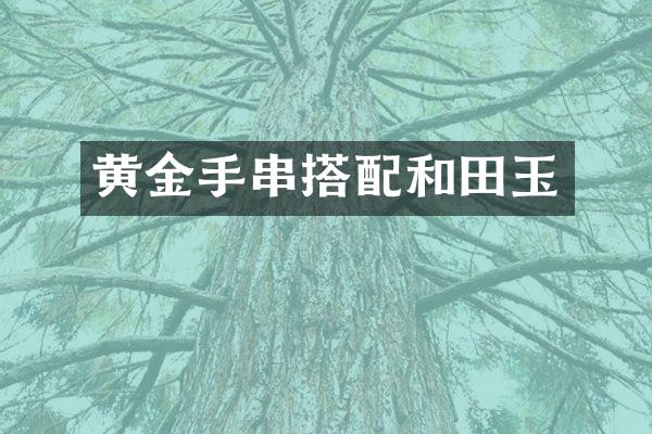 黄金手串搭配和田玉