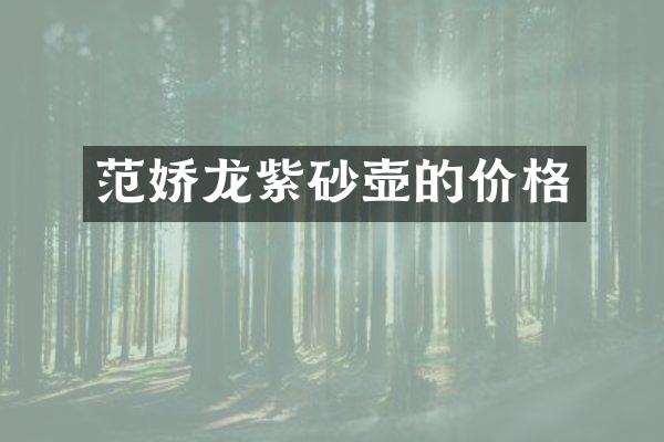 范娇龙紫砂壶的价格