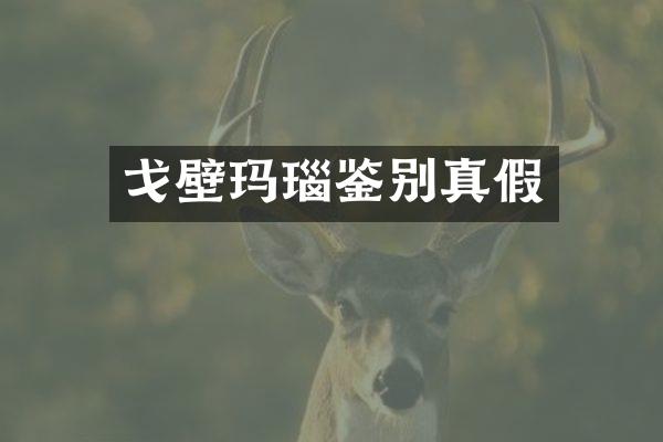 戈壁玛瑙鉴别真假