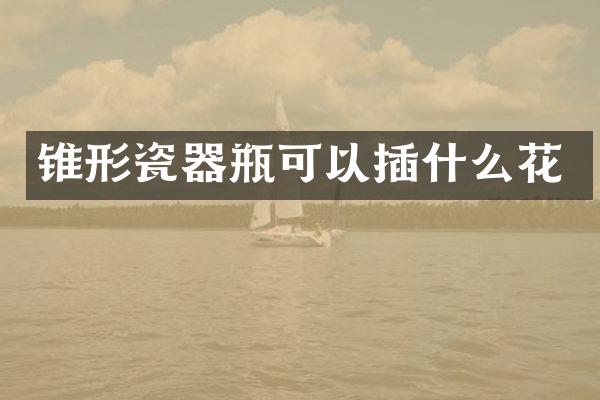 锥形瓷器瓶可以插什么花