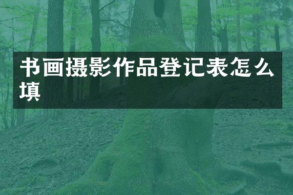 书画摄影作品登记表怎么填