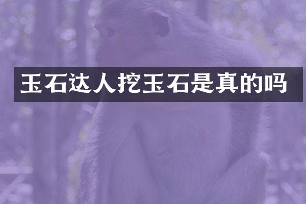玉石达人挖玉石是真的吗